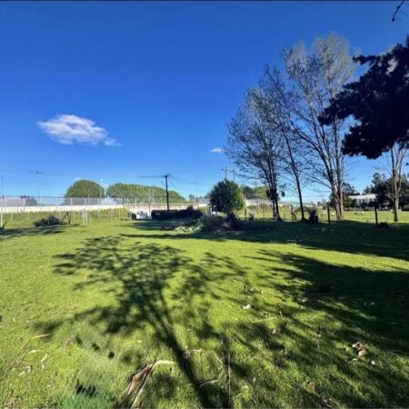 666448848_3231388157042477_6249384299298264364_n