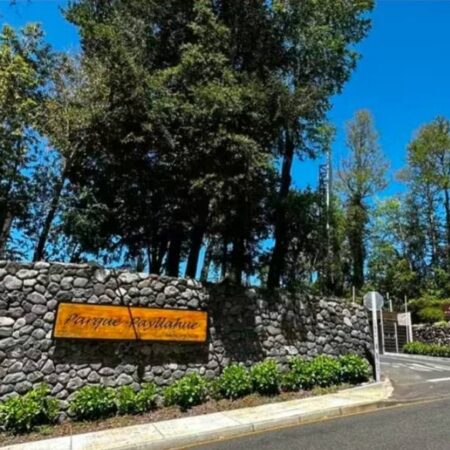 667900875_3234877530026873_4580539941040104675_n