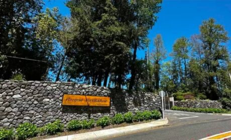 667900875_3234877530026873_4580539941040104675_n