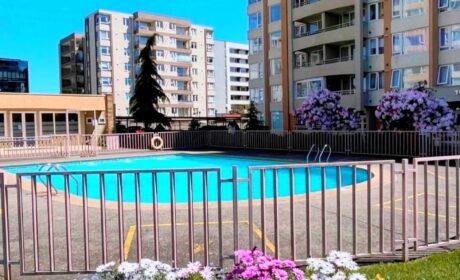 668887264_3233461526835140_7852929099574101211_n