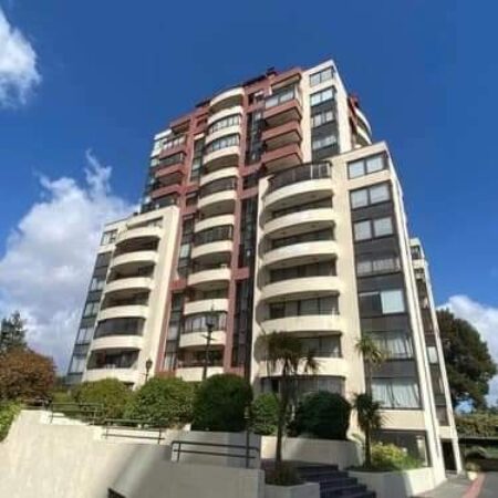 Departamento Condominio Plaza Hochstetter 1