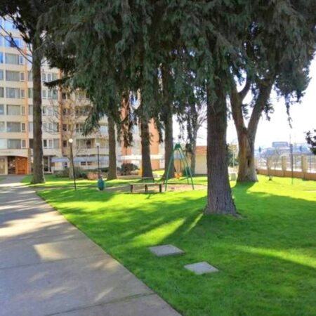 IMG-20250324-WA0100