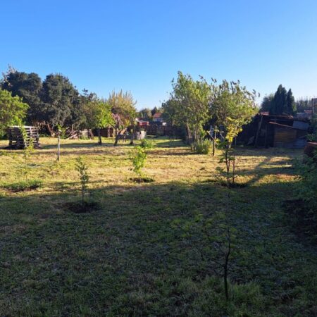 Se vende sitio en Pitrufquen, calle Matta 1