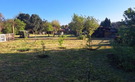 Se vende sitio en Pitrufquen, calle Matta 1