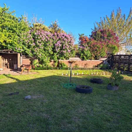 Se vende sitio en Pitrufquen, calle Matta 3