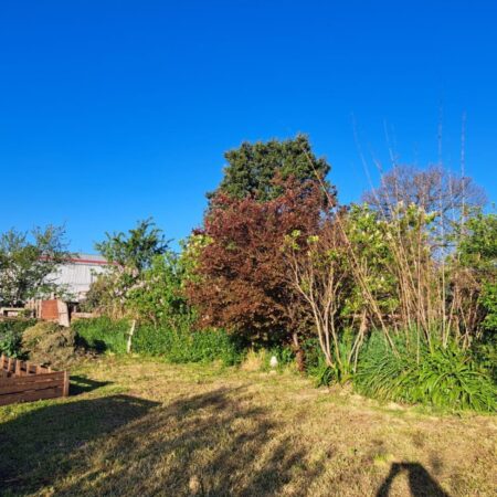 Se vende sitio en Pitrufquen, calle Matta 5