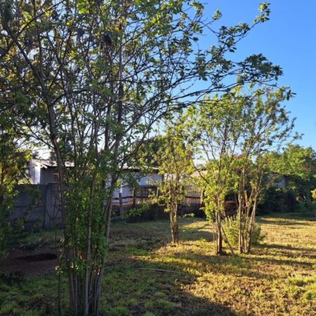 Se vende sitio en Pitrufquen, calle Matta 7