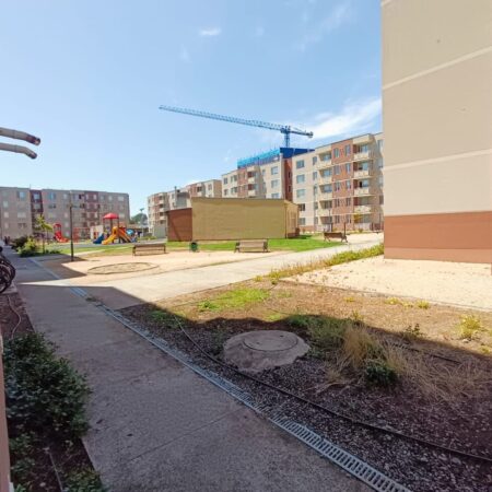 WhatsApp Image 2026-01-28 at 10.40.27 AM