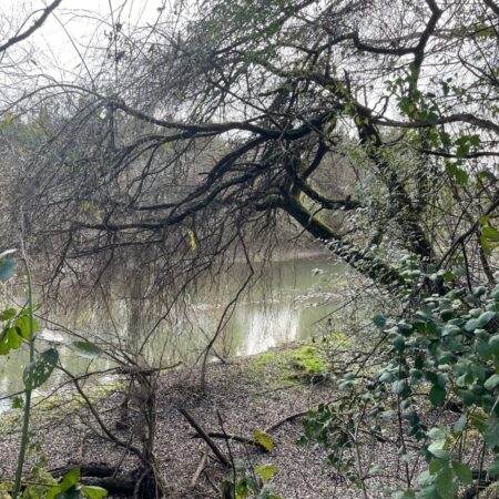 lote orilla rio Cautín 3
